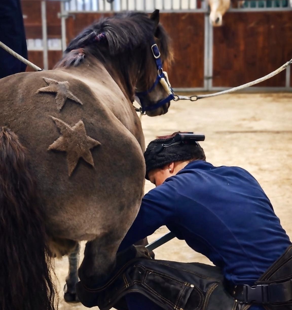 Anatomisk hovbeskæring
